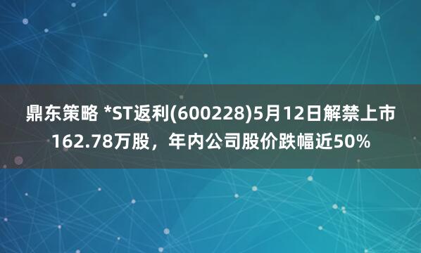 鼎东策略 *ST返利(600228)5月12日解禁上市162.78万股，年内公司股价跌幅近50%
